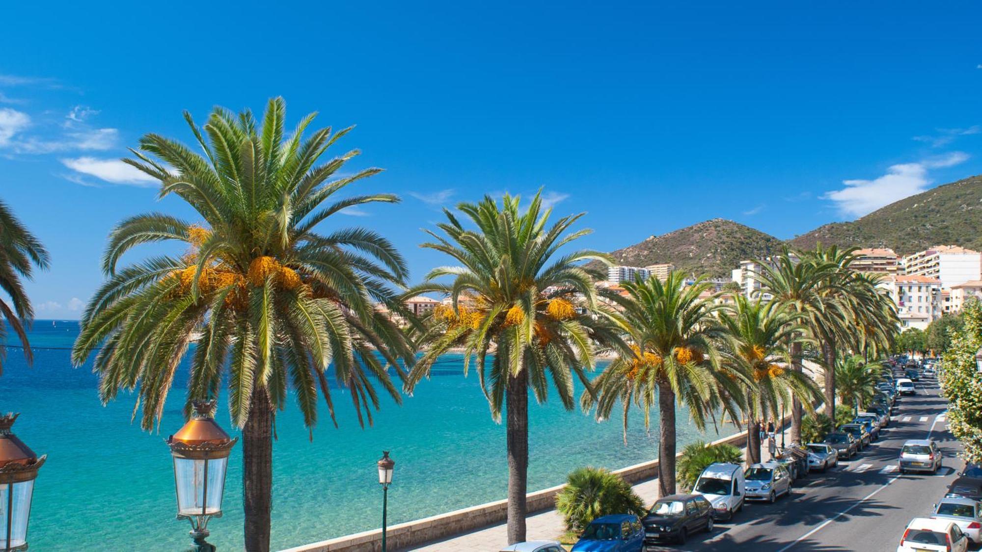Evasion Corse - T2 Vue Mer, Piscine & Plage Аяччо Экстерьер фото